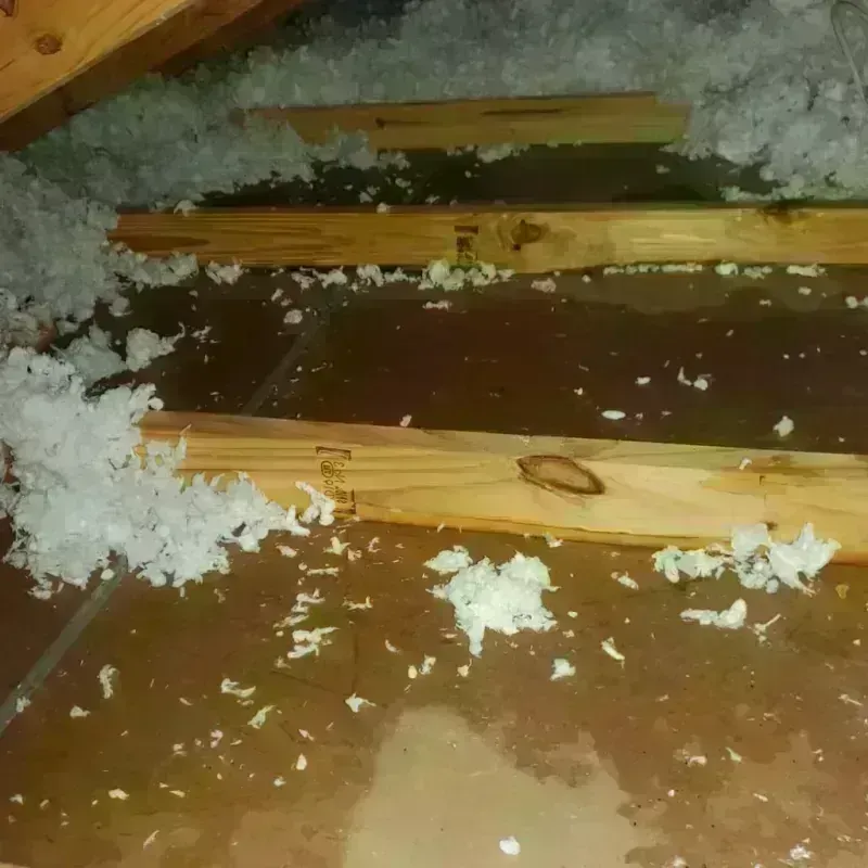 Attic Water Damage in Osceola, WI