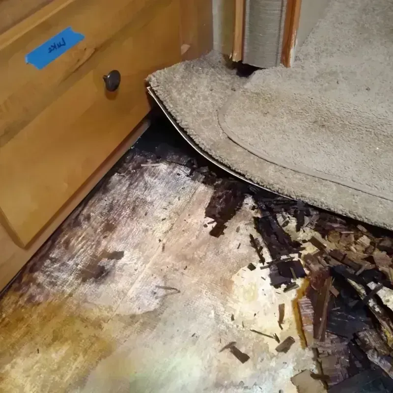 Wood Floor Water Damage in Osceola, WI